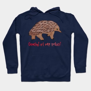 Be Careful of my Spikes Echidna Hoodie